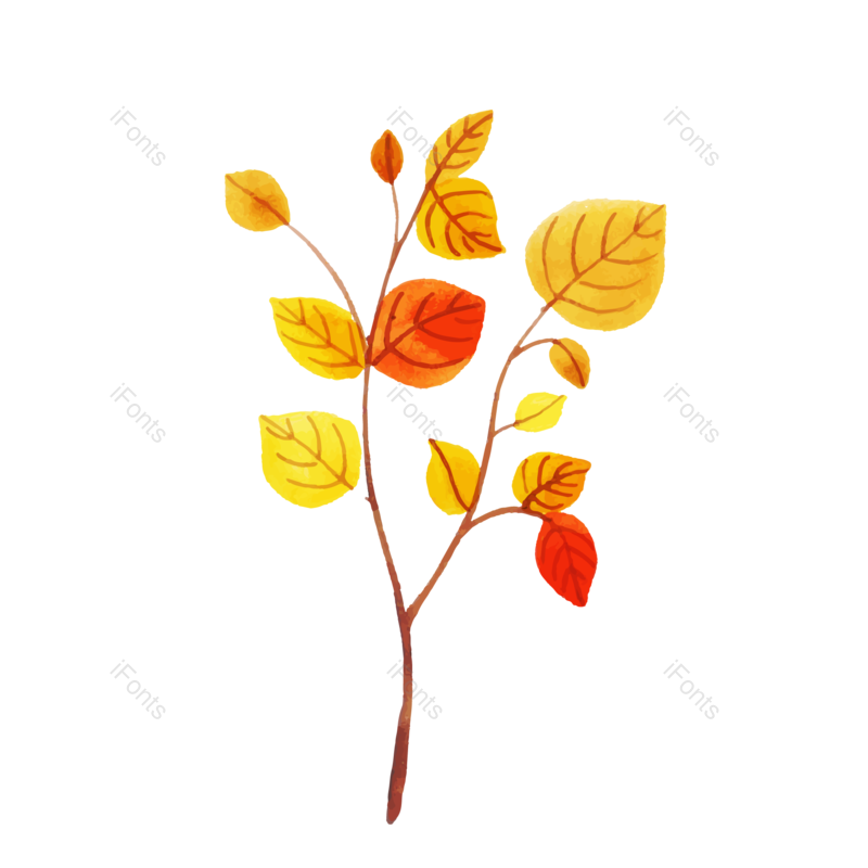 卡通图片,简约元素,枫叶PNG,树叶免抠素材